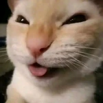 IYKYK.JPG Group Thumbnail