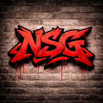 ( NSG )