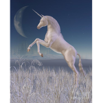 Storm warriors horse academy