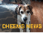 CHEEM'S NEWS