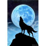 The wolf’s are a gang of wolfs that help others