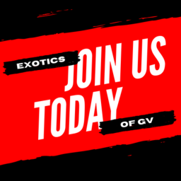 JOIN US TODAY