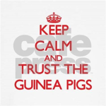 Baseball_Guineapig's Youtube channel