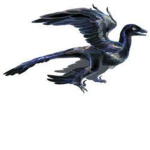 the microraptor core