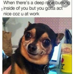 Idk this is gunna just have meh give some rebex