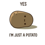 Pøtätø Frëñčh ʕ•ᴥ•ʔ