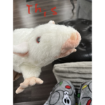 I own a rat