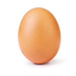 EGGGGGGGGGGGG