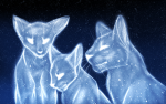 LOST PAWS: a final hope