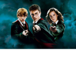 Harry Potter fan l place