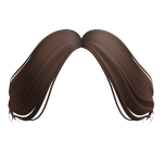 Curtain Bangs in Brown