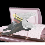 Skinny Angel Hyenas