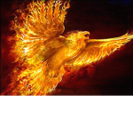 #Team Phoenix