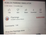 The Flamingo Subscriber Club ( Has to subscribe )