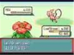 Mew lovers club