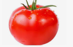 トマトのグループ/group of tomatoes