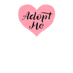 Adopt me merch ;)