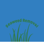 Seaweed Removal