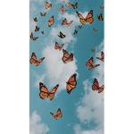 Butterfly_vibez