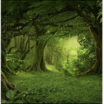 Sage green forests