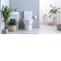 MY TOILET