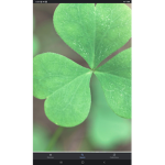 Cloverws