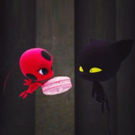 Tikki's macarons