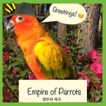 Empire Parrots