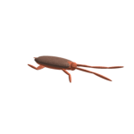 Roaches :]