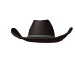 Cowboy hat
