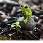 Froggy s is the Best