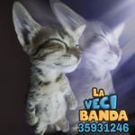 lavecibanda