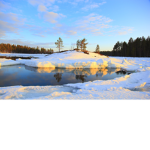 Arctic Anarchist Commune :}