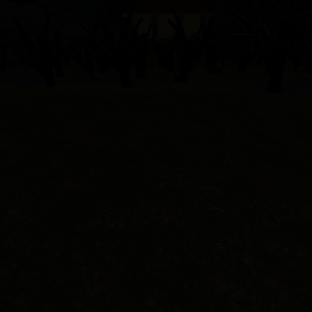 Stagg Forest
