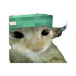 AAAAAAAAAAAAAAA.