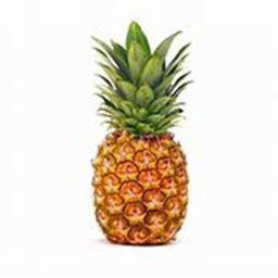 Pineapple Hangout/Boarder