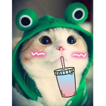 im bro Huyen