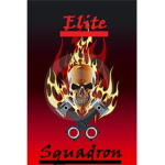 Elite-Squadron
