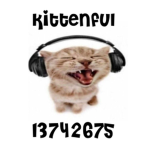 kittenful
