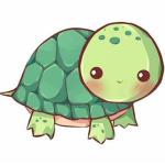 Turtle Clothing_
