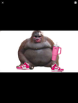 The nice yeti Group