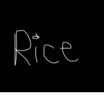 Samurice