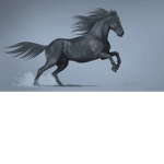 The golden horses society!!