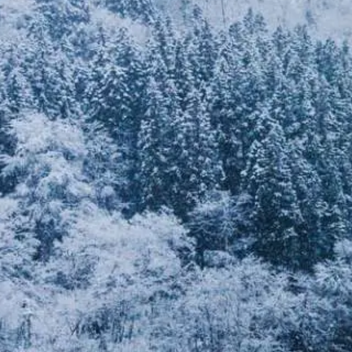 ❄