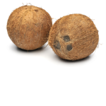 CoconutClaps