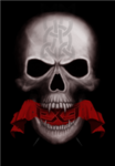 E.C.A.