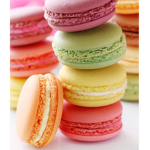Macaron Madness