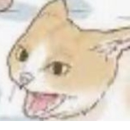Cat?