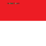 REEBOT team