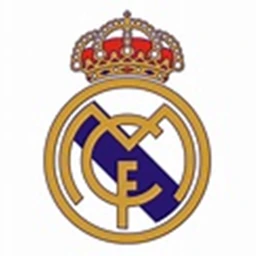 Real Madrid Stadium icon